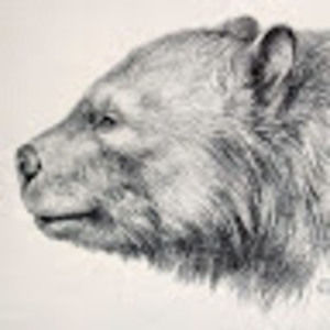 Meet your Posher, Prowler